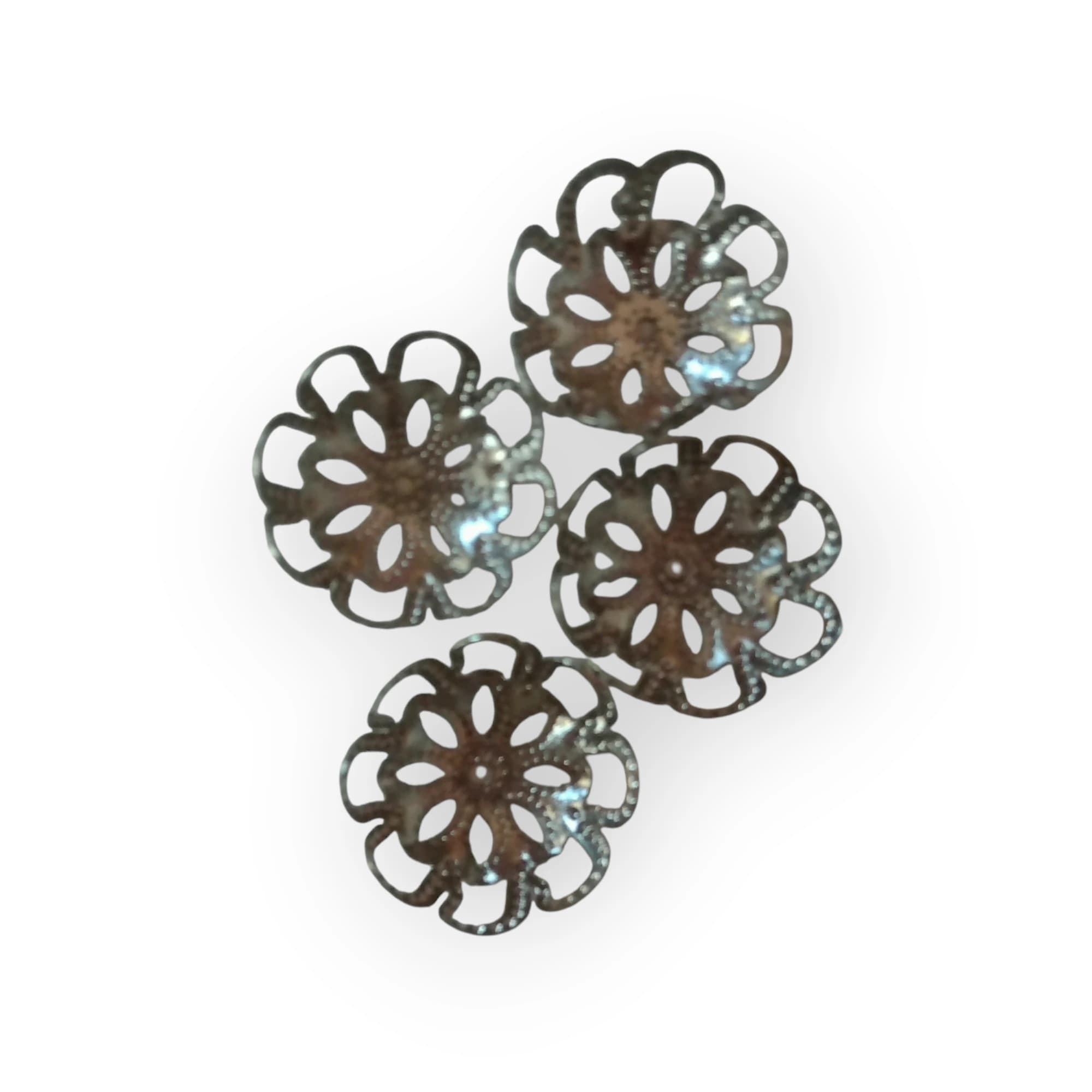 Silver Caps Large