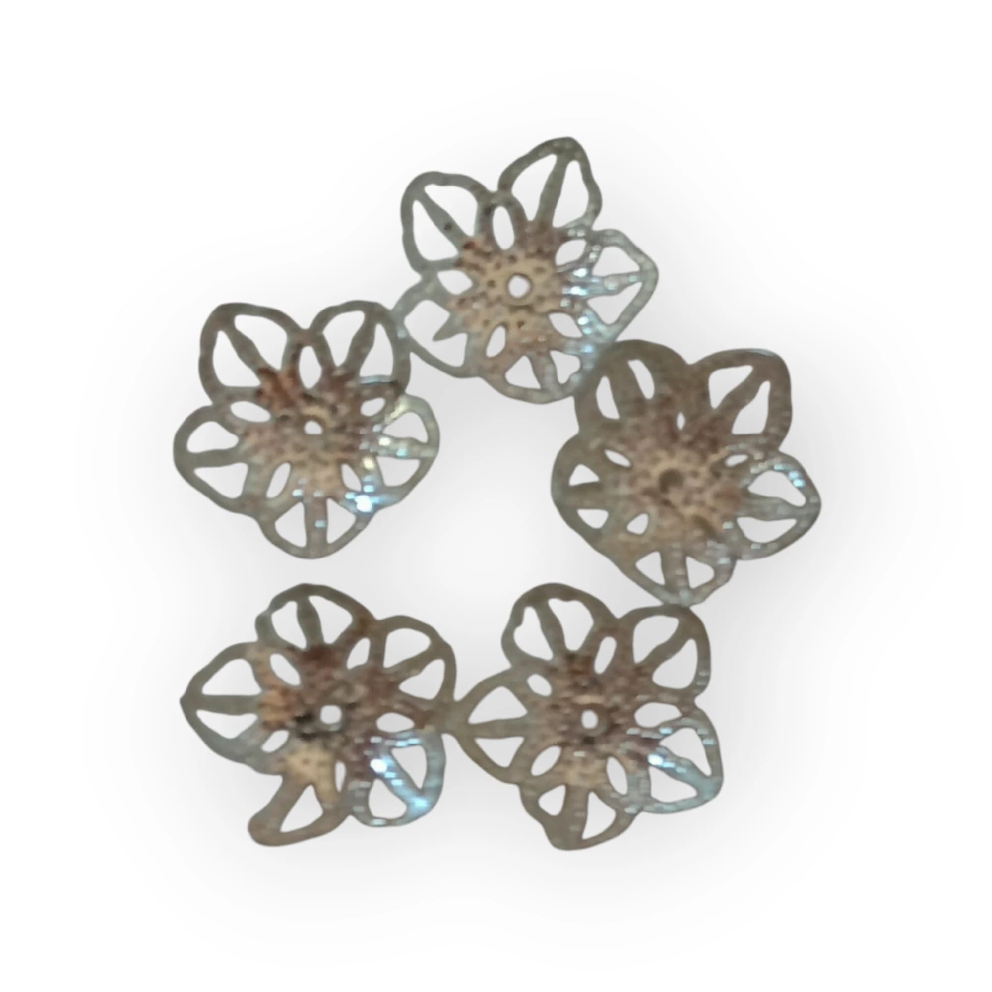 Silver Caps Medium