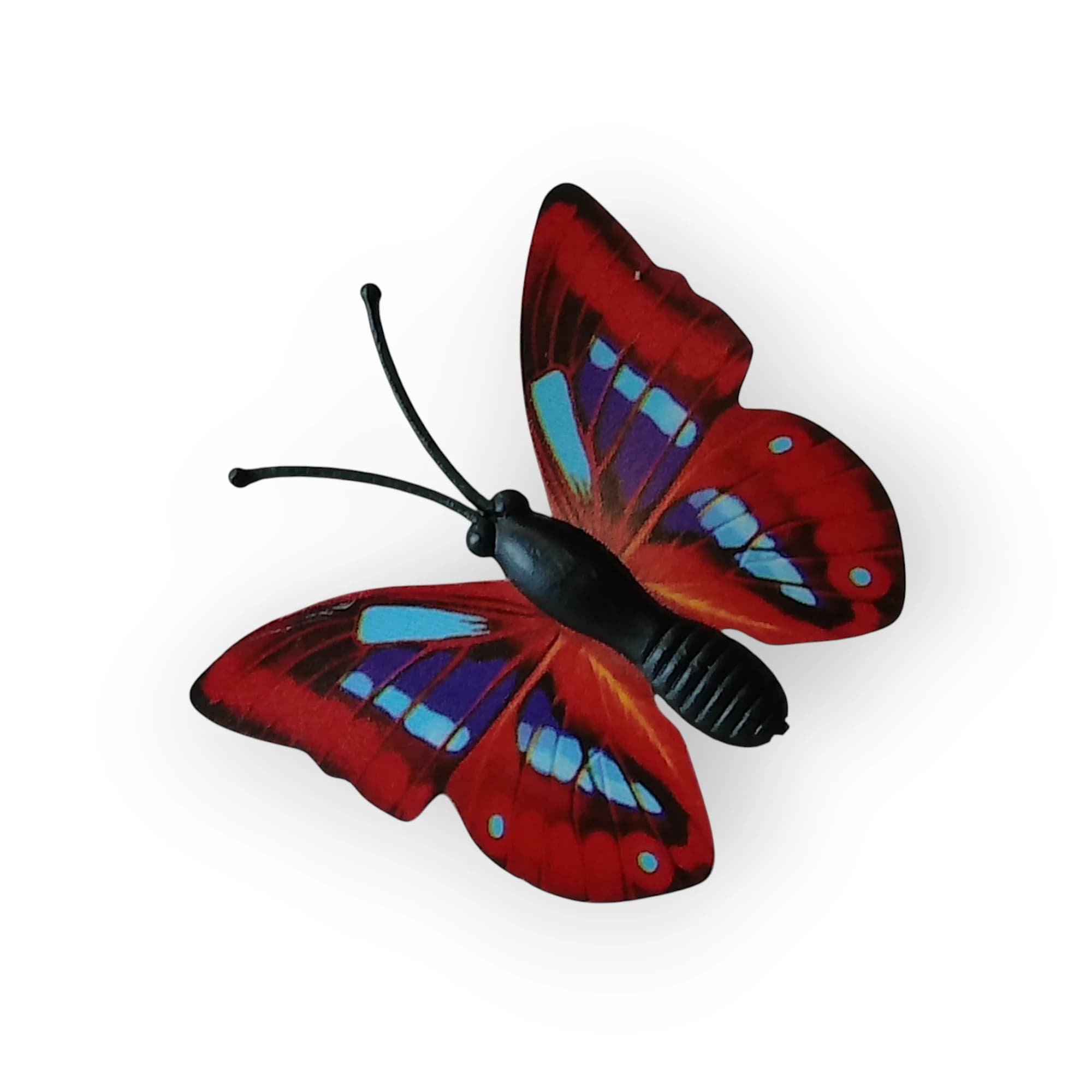 Butterflies