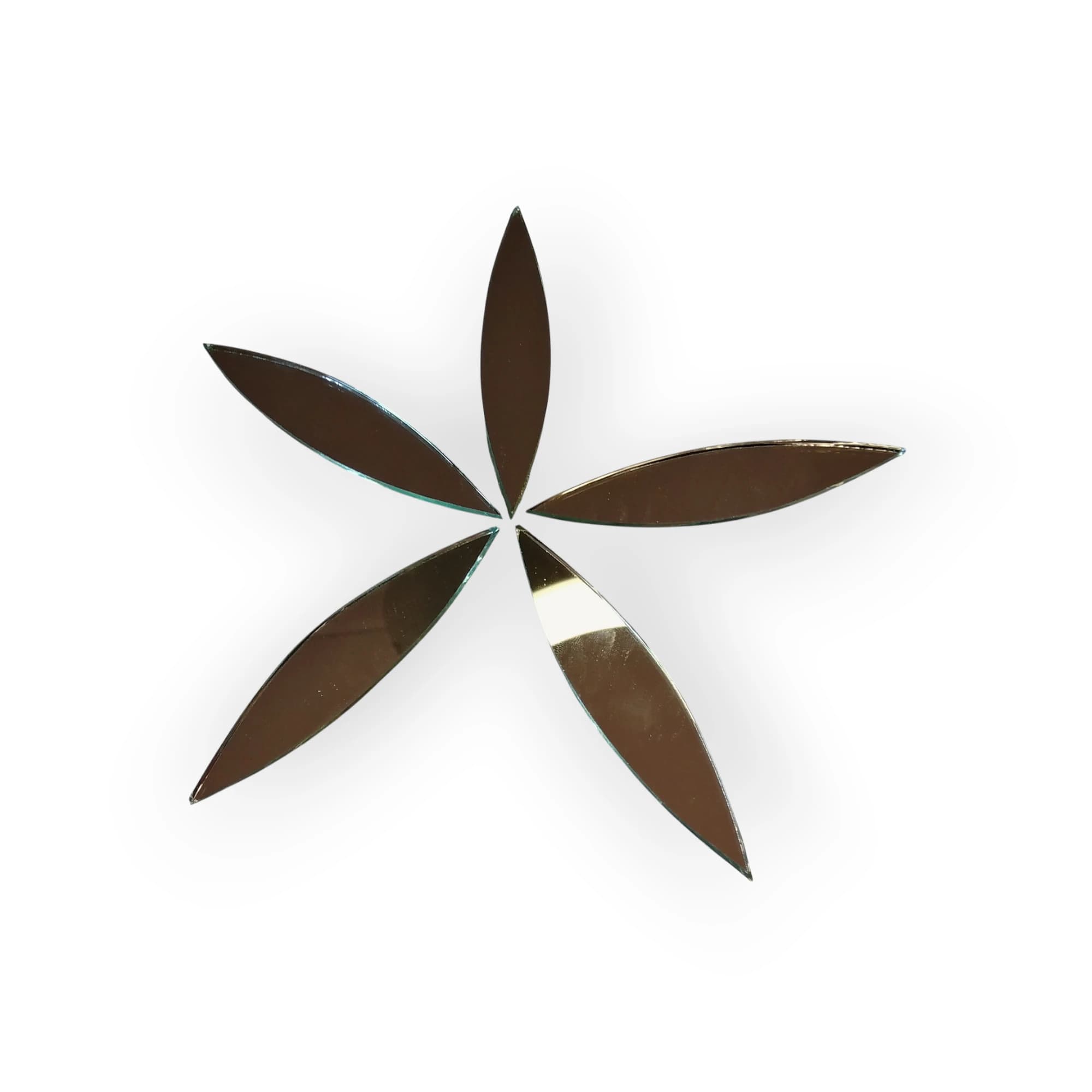Pack of 12 Medium Leaf Inserts