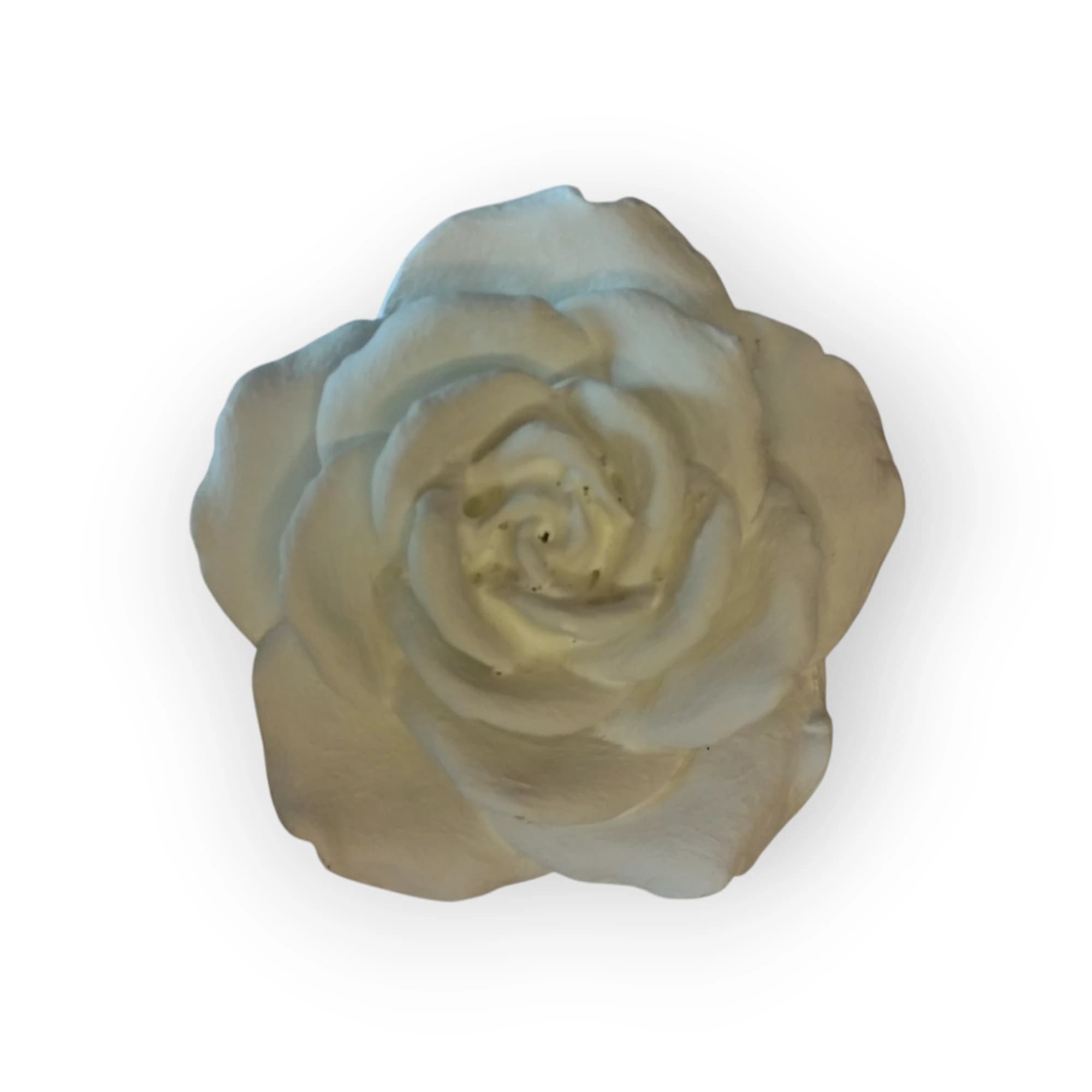 Ceramic White Open Rose