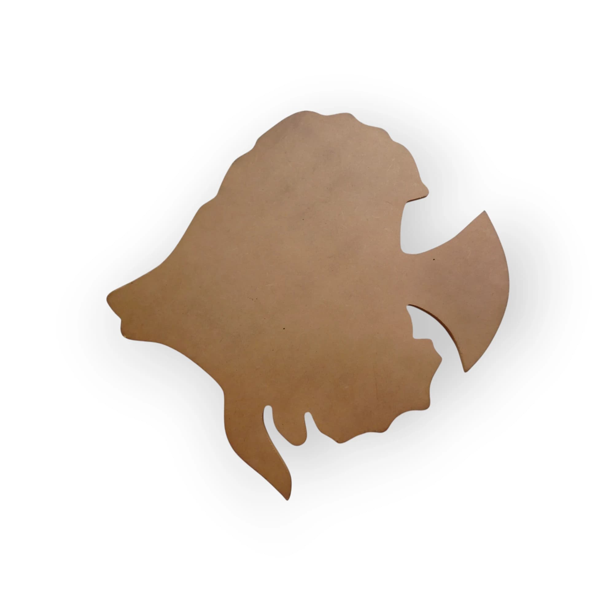 Blank Wooden Template Fish
