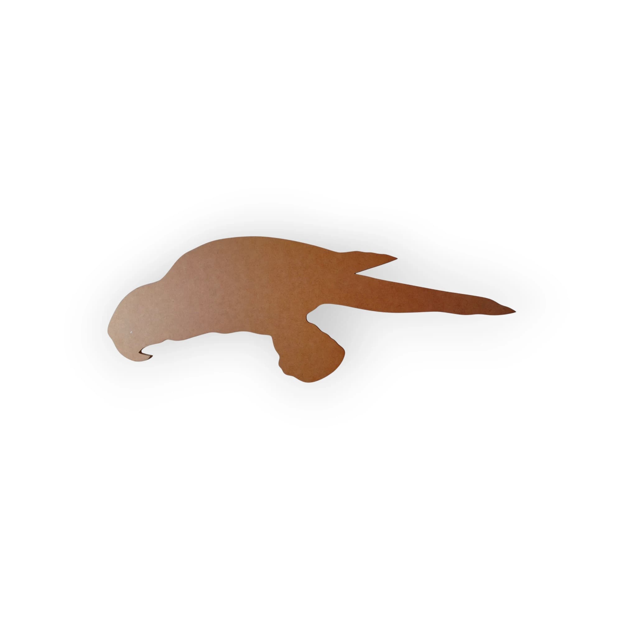 Blank Wood Template Parrot
