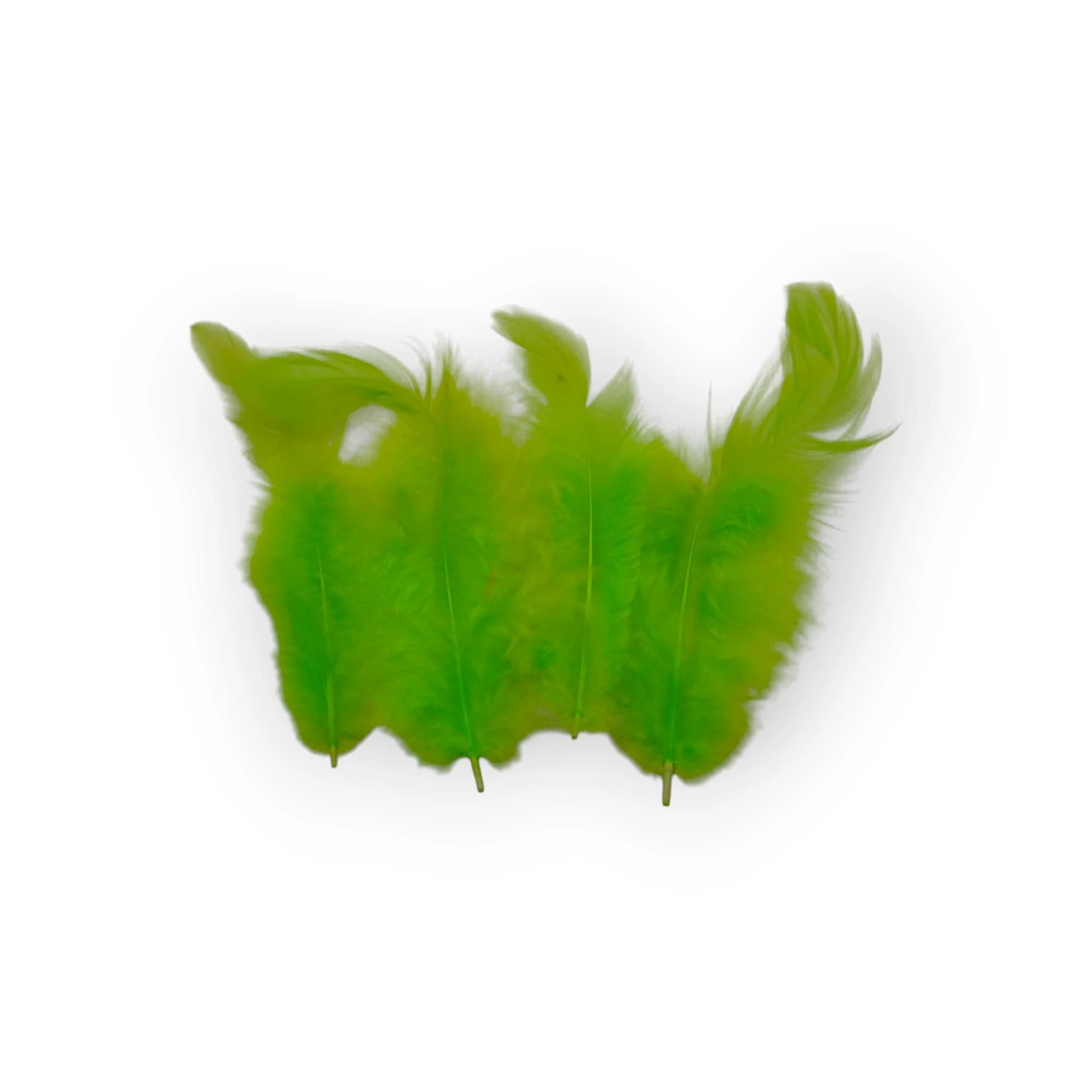 Feathers Small Lime