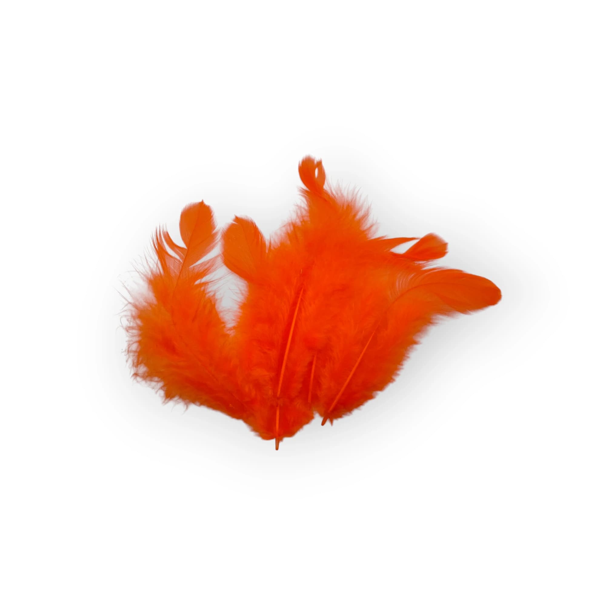 Feathers Small Orange