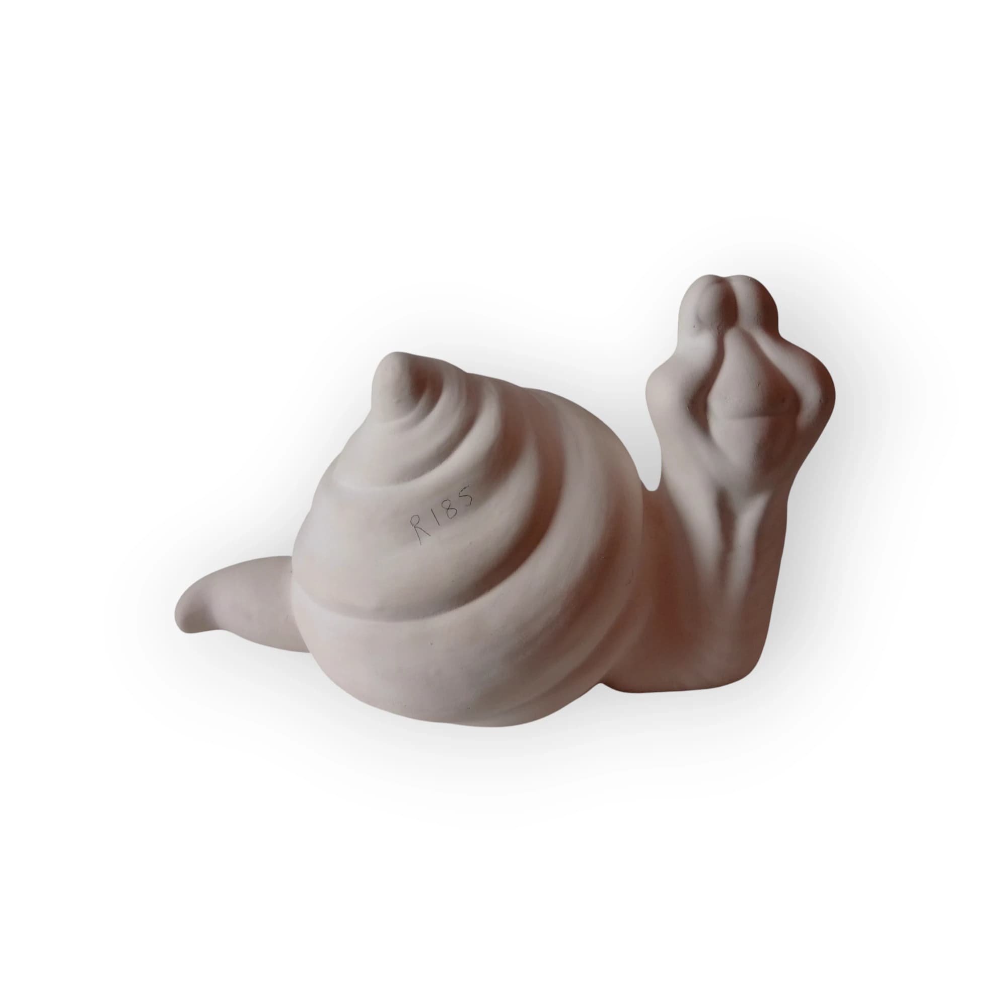 Snails Blank