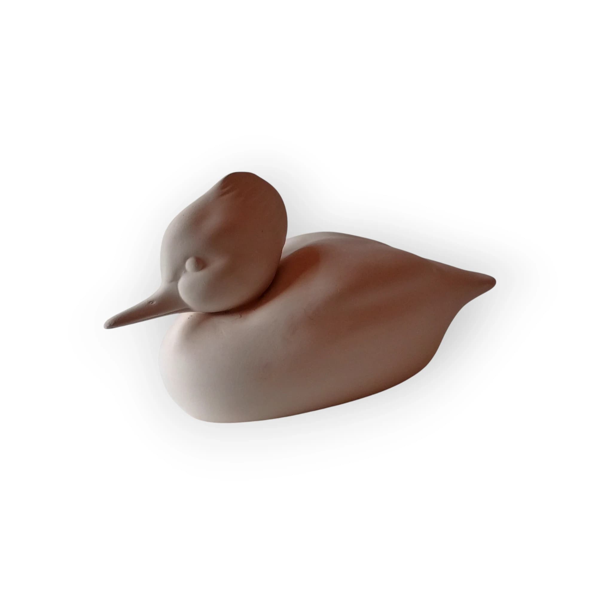 Wood Duck Blank