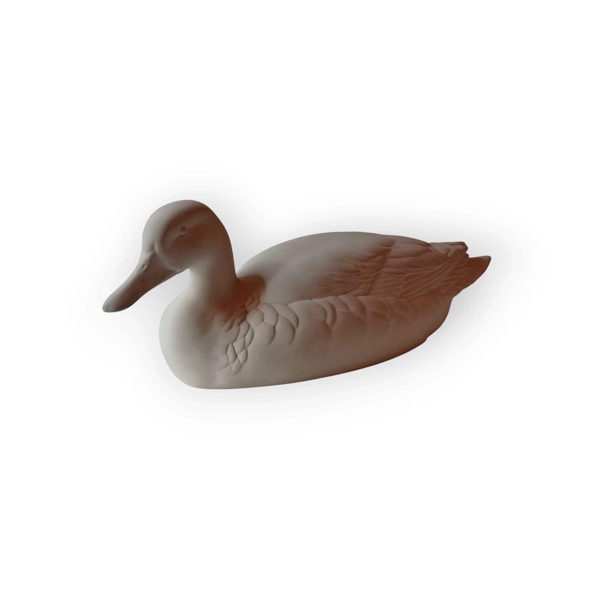 Mallard Duck Blank