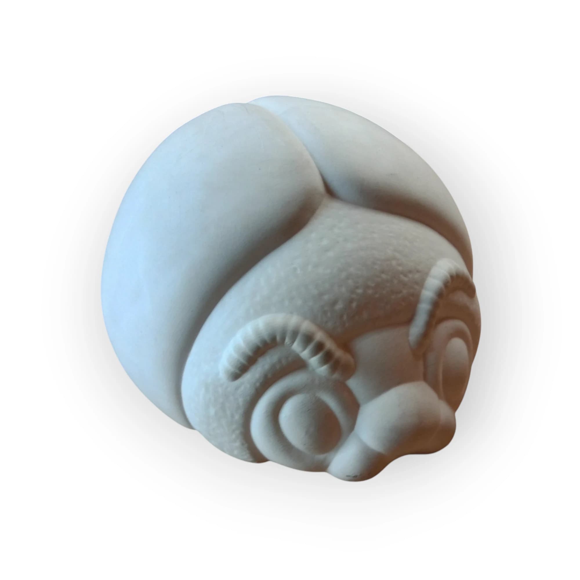 Lady Bug Blank