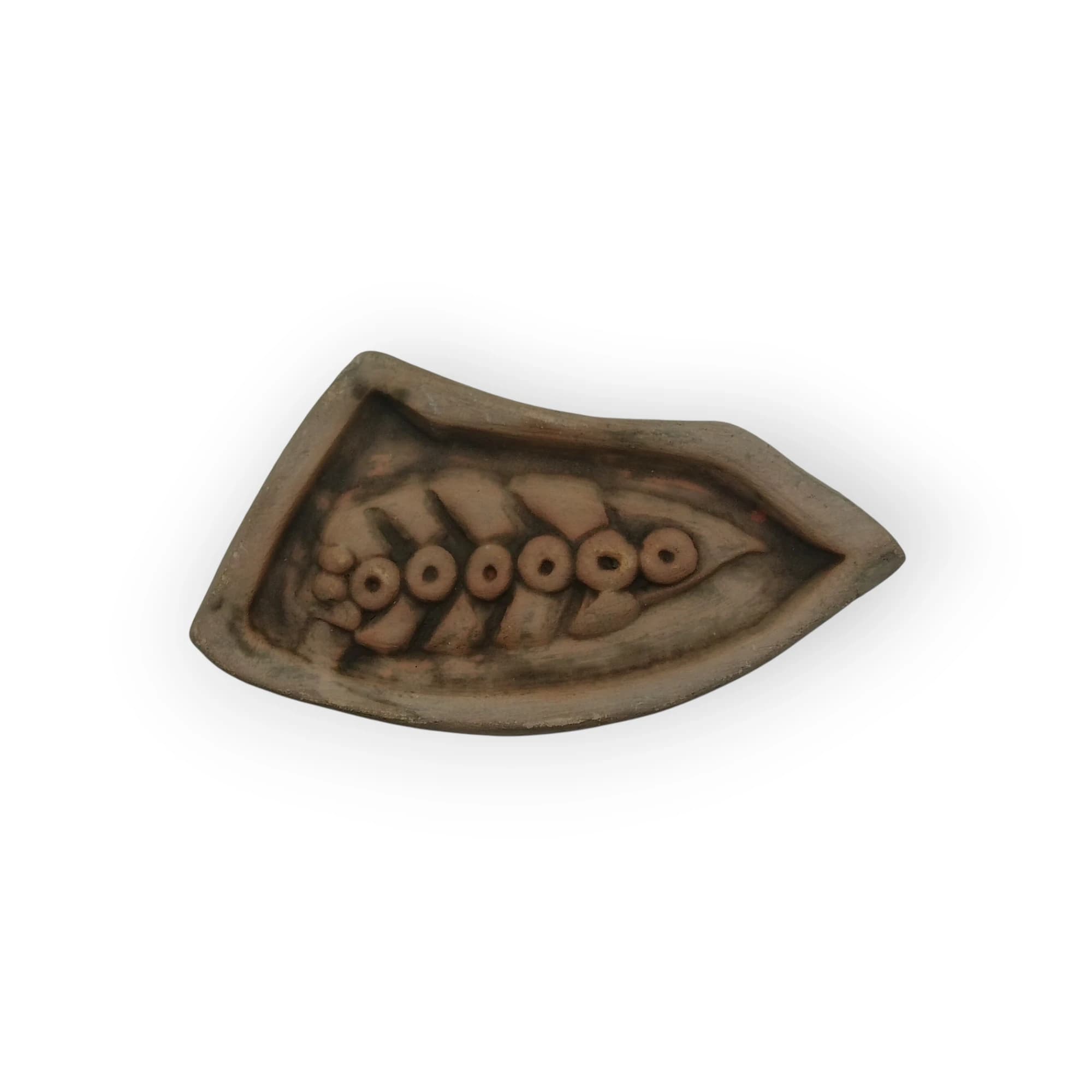 Ceramic Insert Fossil