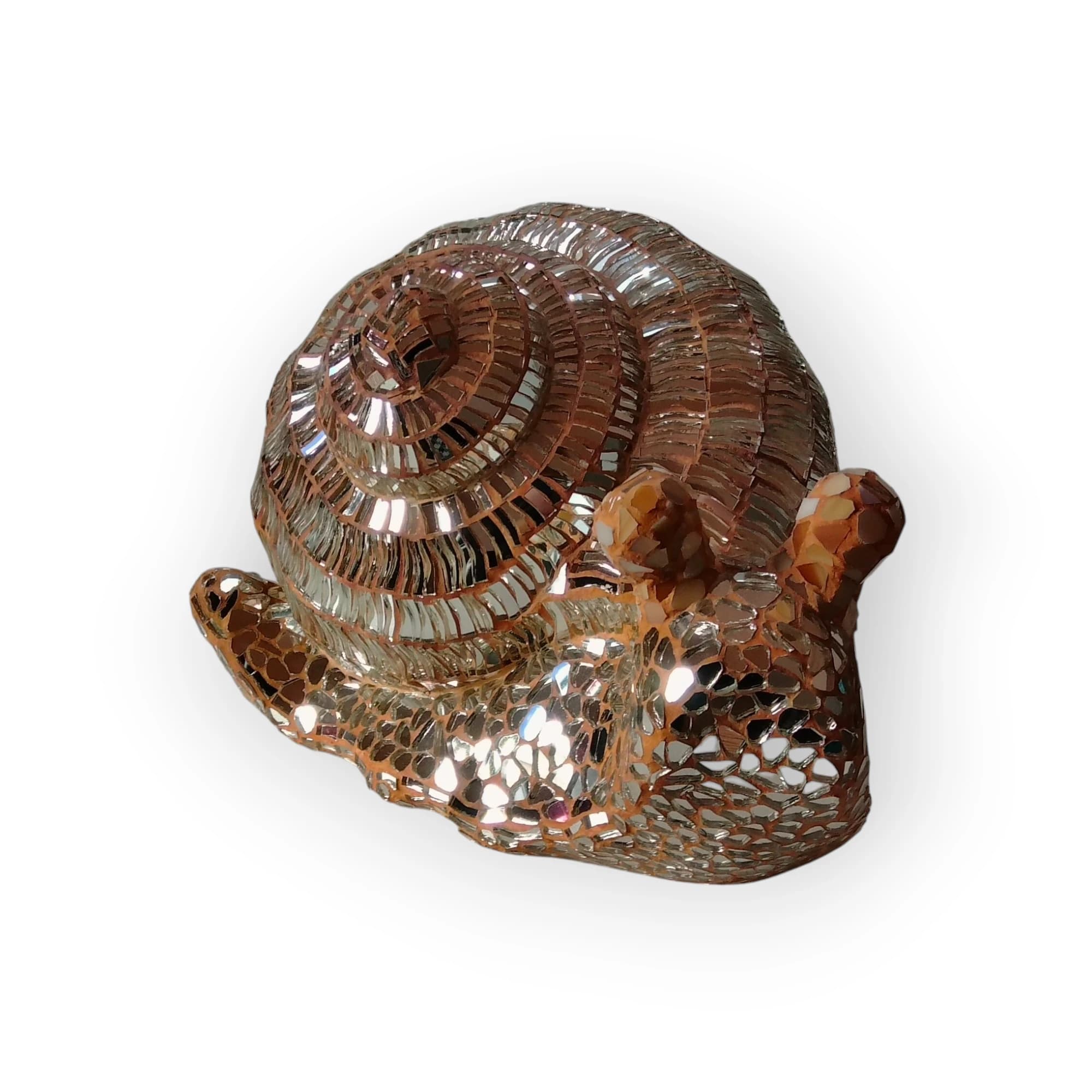 Mirror Mosaic Snail