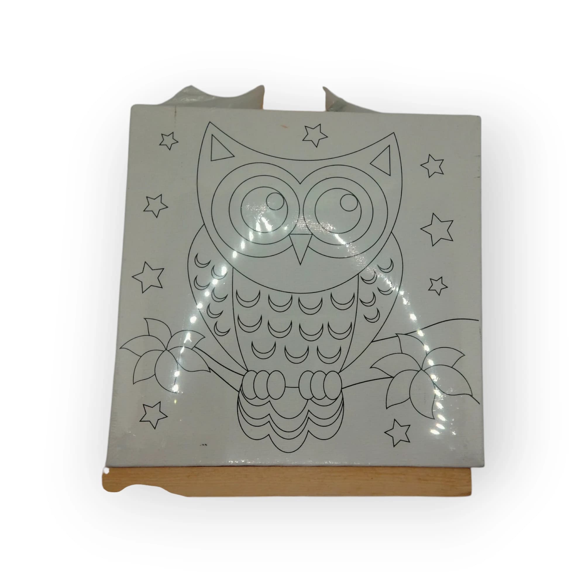 Canvas On Easel With Paint Owl